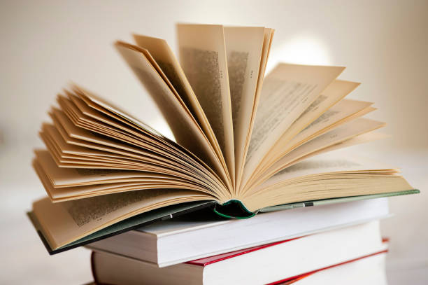 Mastering SAP Technology