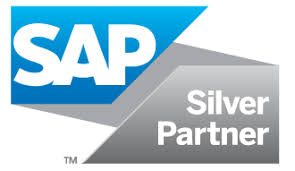 Silver Partner Logo